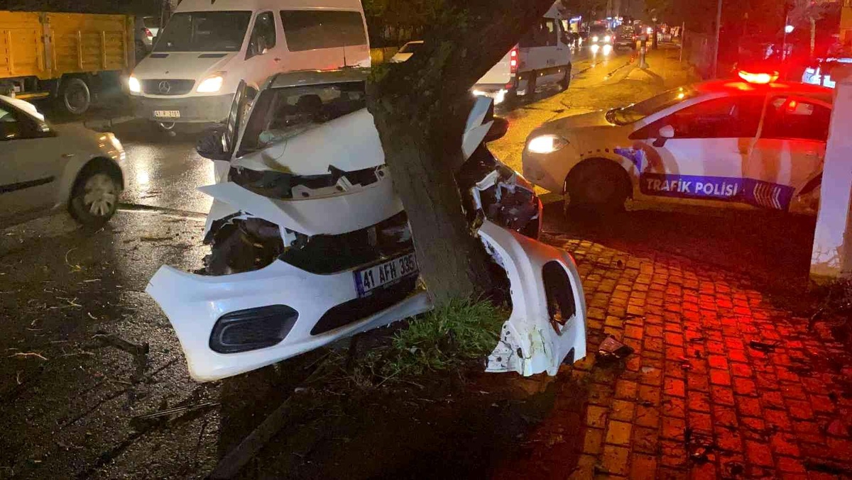 İş makinesini sollamaya çalışan otomobil ağaca girdi: 1 yaralı
