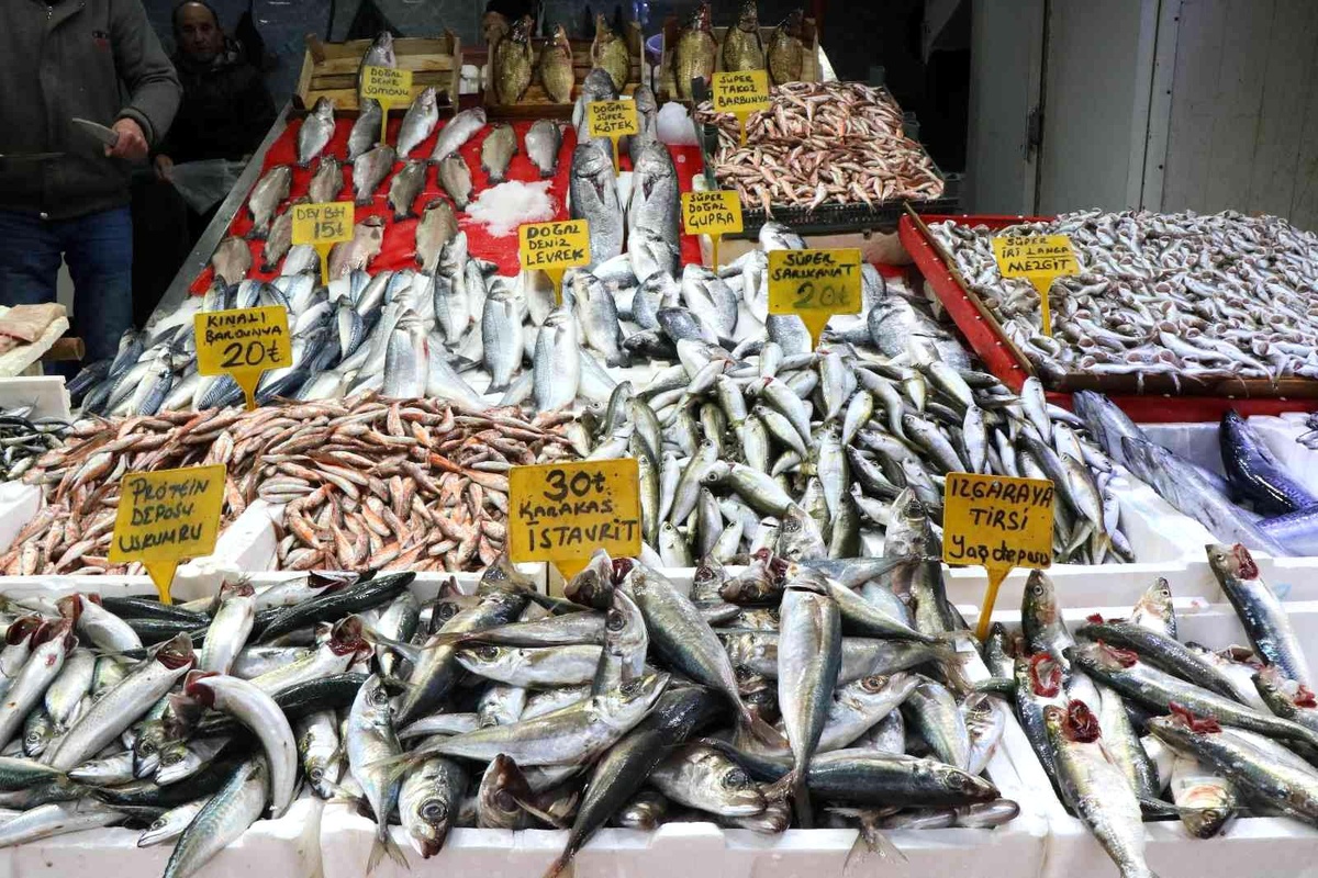 Balık fiyatları arttı