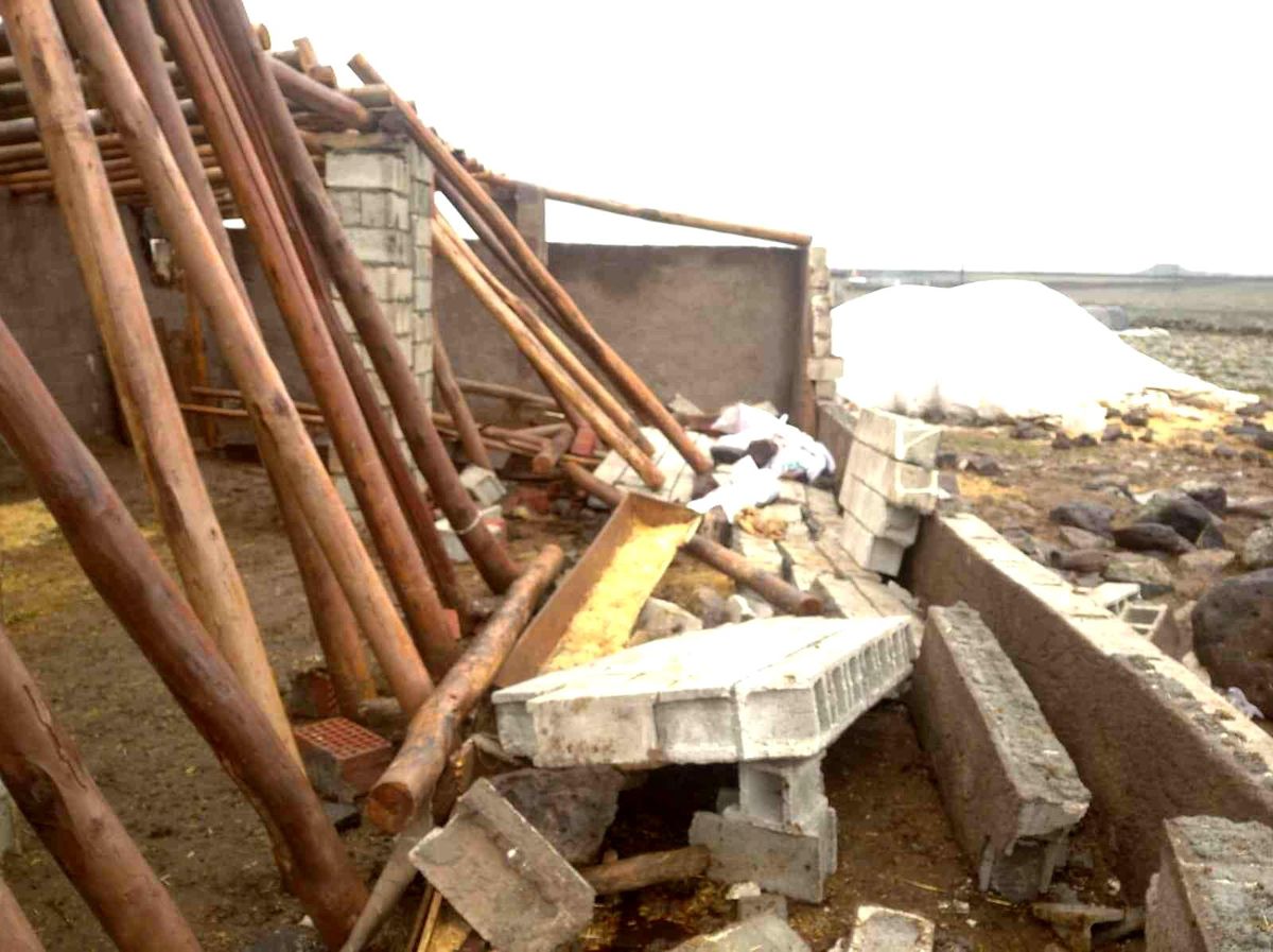 Siverek'te çöken ahırda 7 koyun telef oldu