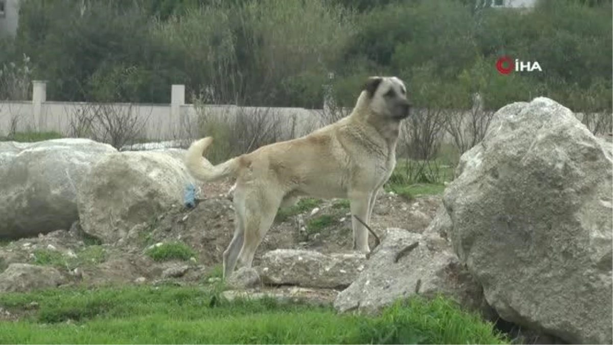 Tedavisi süren 9 yaşındaki Mahra\'dan ilk kare