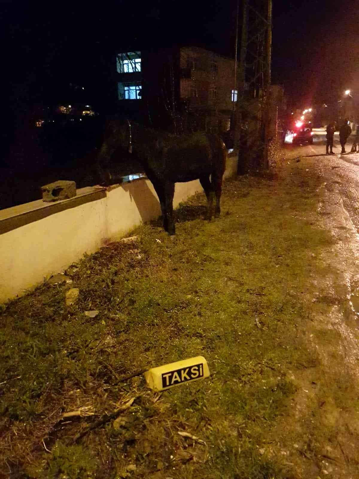 Türkeli\'de ticari taksi, yola fırlayan başıboş ata çarptı