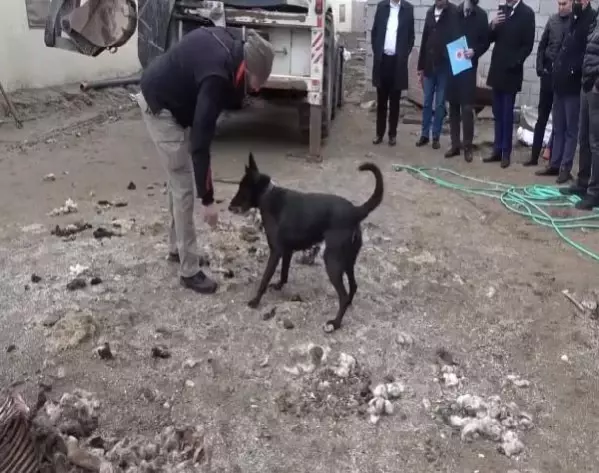 Ahırın önüne gömmüşler: Tam 7 yıldır kayıptı, her yerde arandı, meğer akrabaları öldürmüş