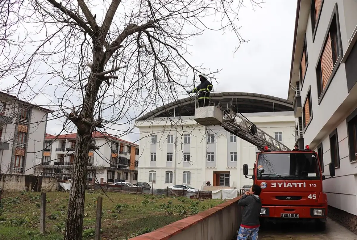 Son dakika haberi: Ağaçta mahsur kalan kediyi itfaiye kurtardı