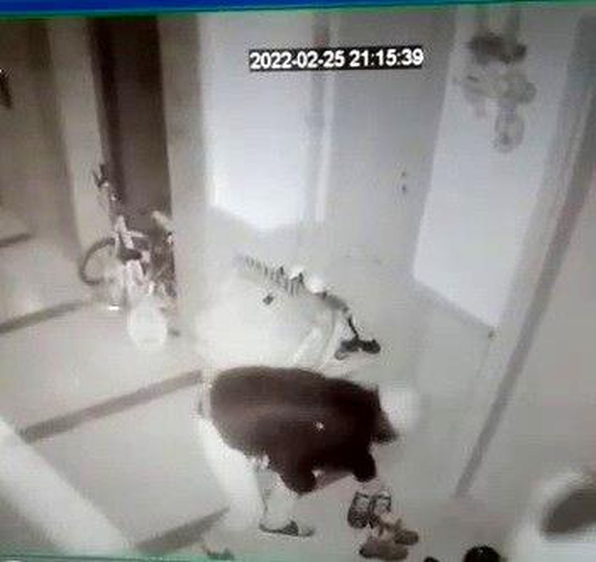 Son dakika haberleri: Ayakkabı hırsızları kameralara yakalandı