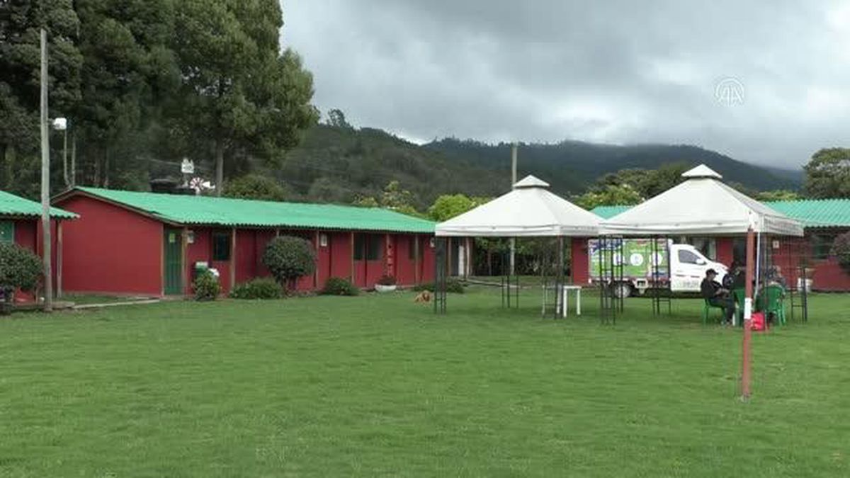 Bogota'da böceklere dayalı protein geliştirildi