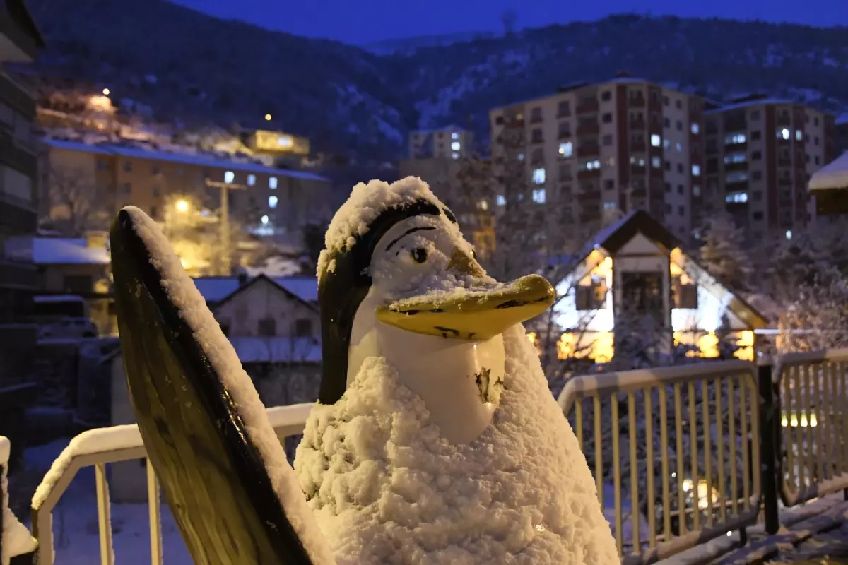 Gümüşhane'de kar yağışı etkisini sürdürüyor