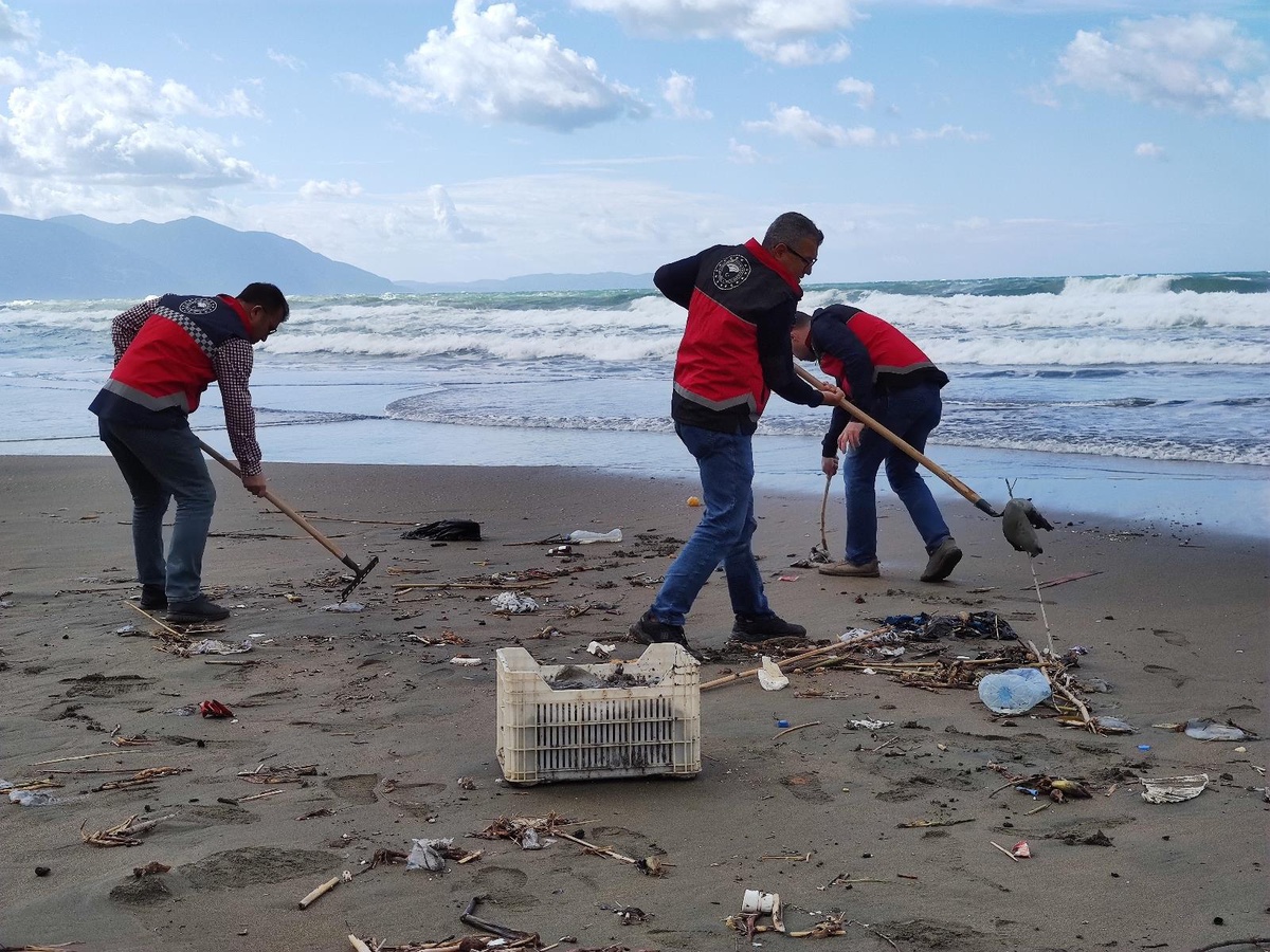 Son dakika haberleri... Hatay'da sahile vuran ölü denizanaları inceleniyor