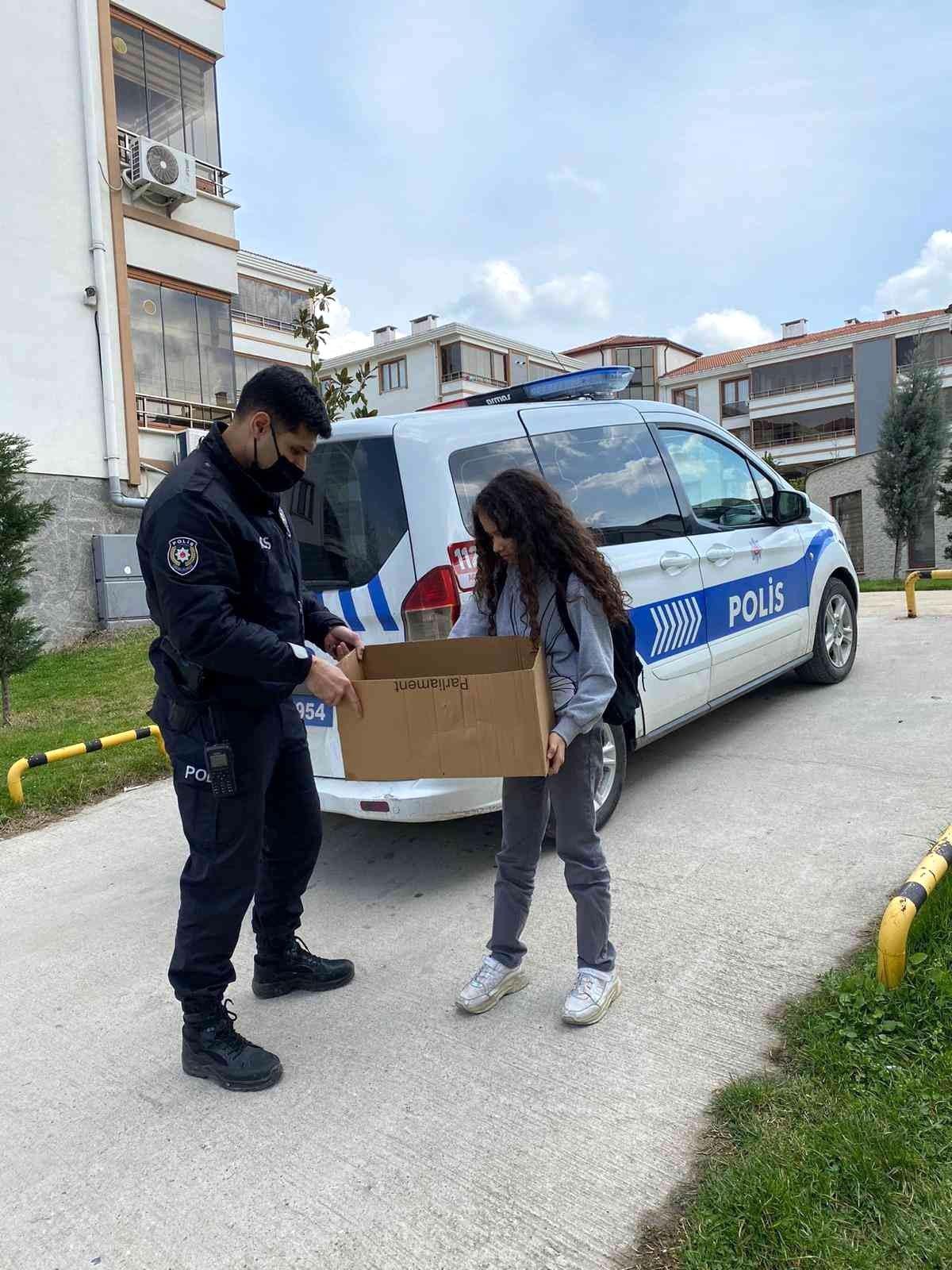 Kız çocuğunun dikkati anne kedinin hayatını kurtardı