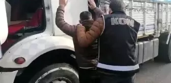 Kocaeli'de 11 milyon makaron ele geçirildi