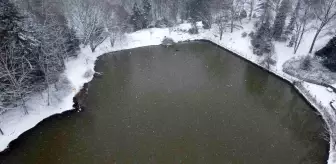 Atatürk Arboretumu'nda kartpostallık kar manzaraları