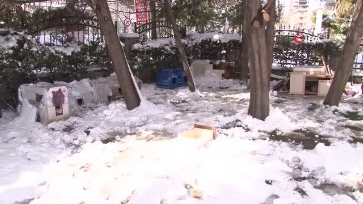 Bağcılar Belediyesi karda yiyecek bulamayan sokak hayvanlarını besledi