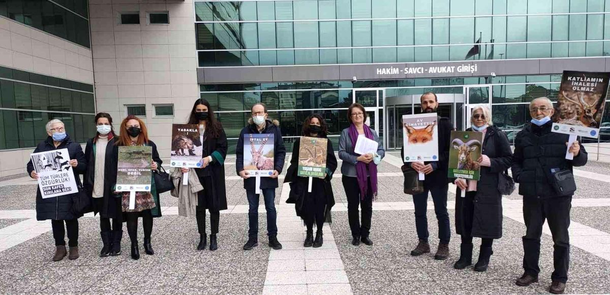 Bolu'da, 15 kızıl geyiğin avlanması ihalesi iptal edildi