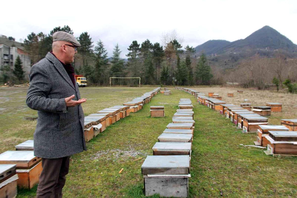 Elevli 'Tarımda rekolte ve randıman için arıcılık desteklenmeli'
