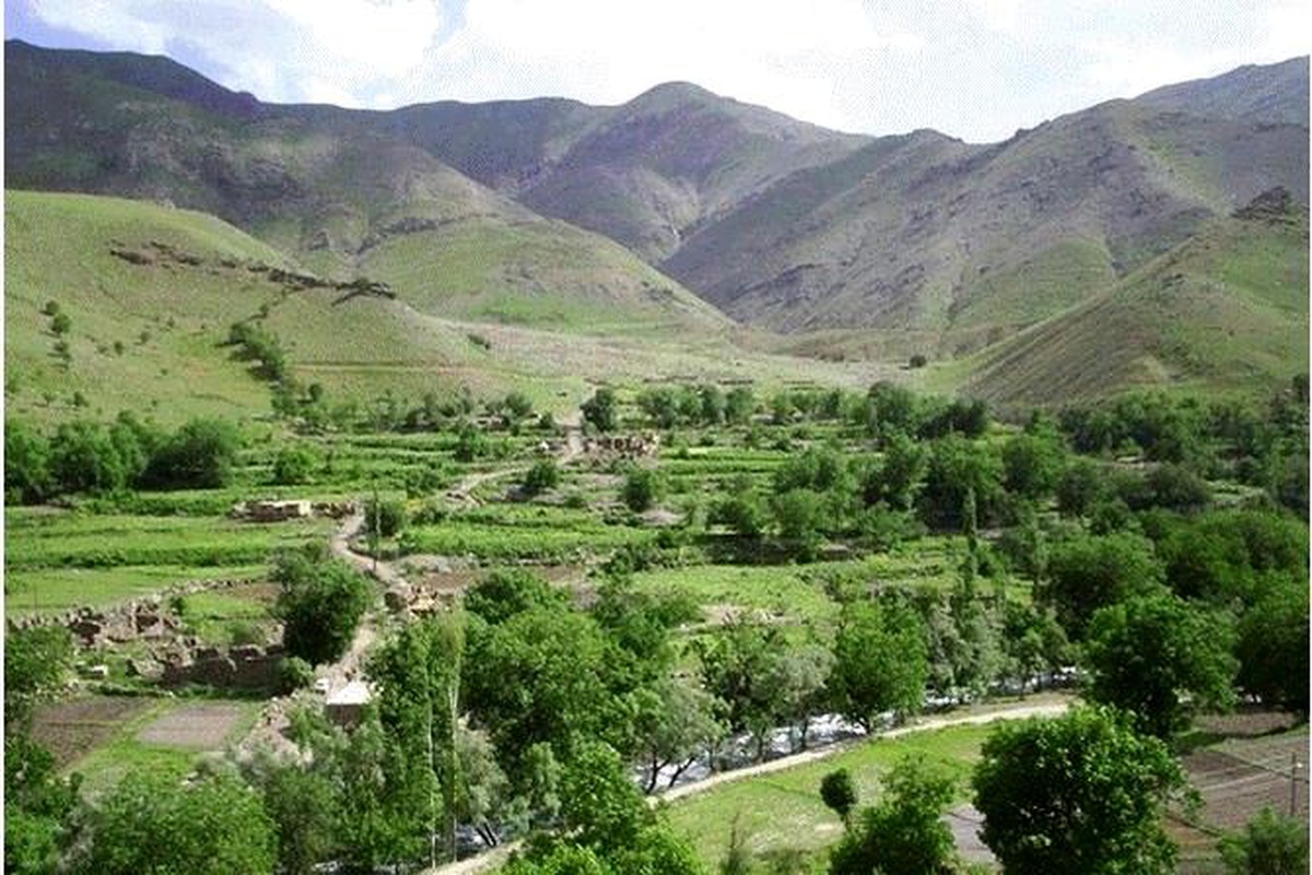Hakkari\'de düğün ve taziyeler için yeni karar: Düğünler bir güne inerken takılar kaldırılıyor