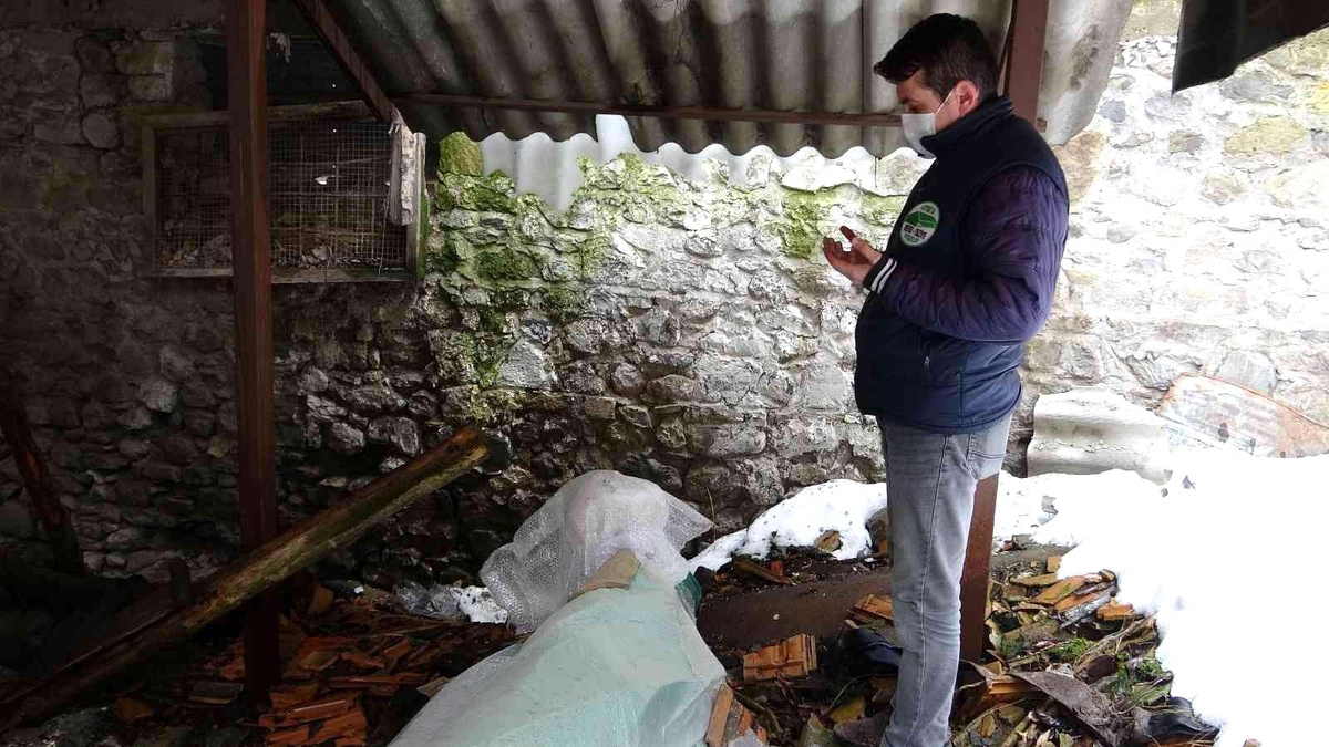 Isparta\'daki türbenin harabe hali vicdanları sızlattı