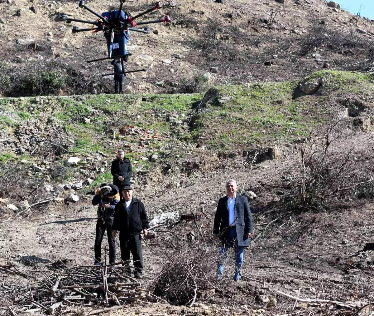 Muratpaşa yanan ormanları dronla tohumluyor