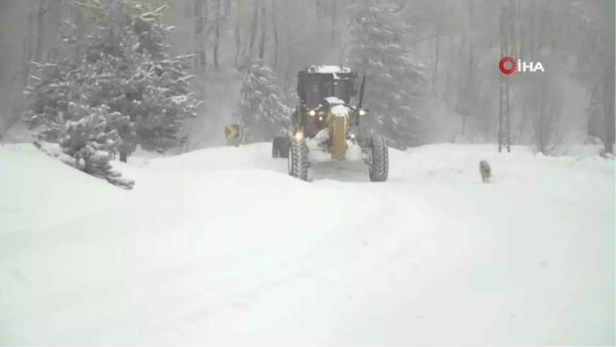 Osmangazi\'de karlı yollara anında müdahale