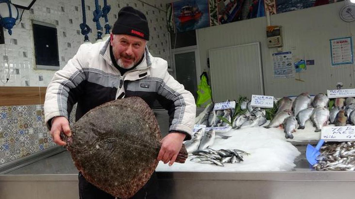 Sinop\'ta 5 kiloluk kalkan balığı yakalandı! 3 bin liraya alıcı buldu