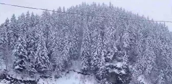 Trabzon-Bayburt karayolu kar nedeniyle ulaşıma kapandı