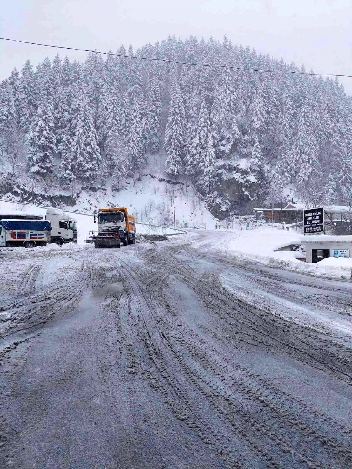 Trabzon-Bayburt karayolu kar nedeniyle ulaşıma kapandı