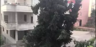 Adana ve Mersin'e kısa süre kar yağdı