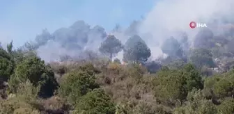 Alanya'da ormanlık alanda yangın