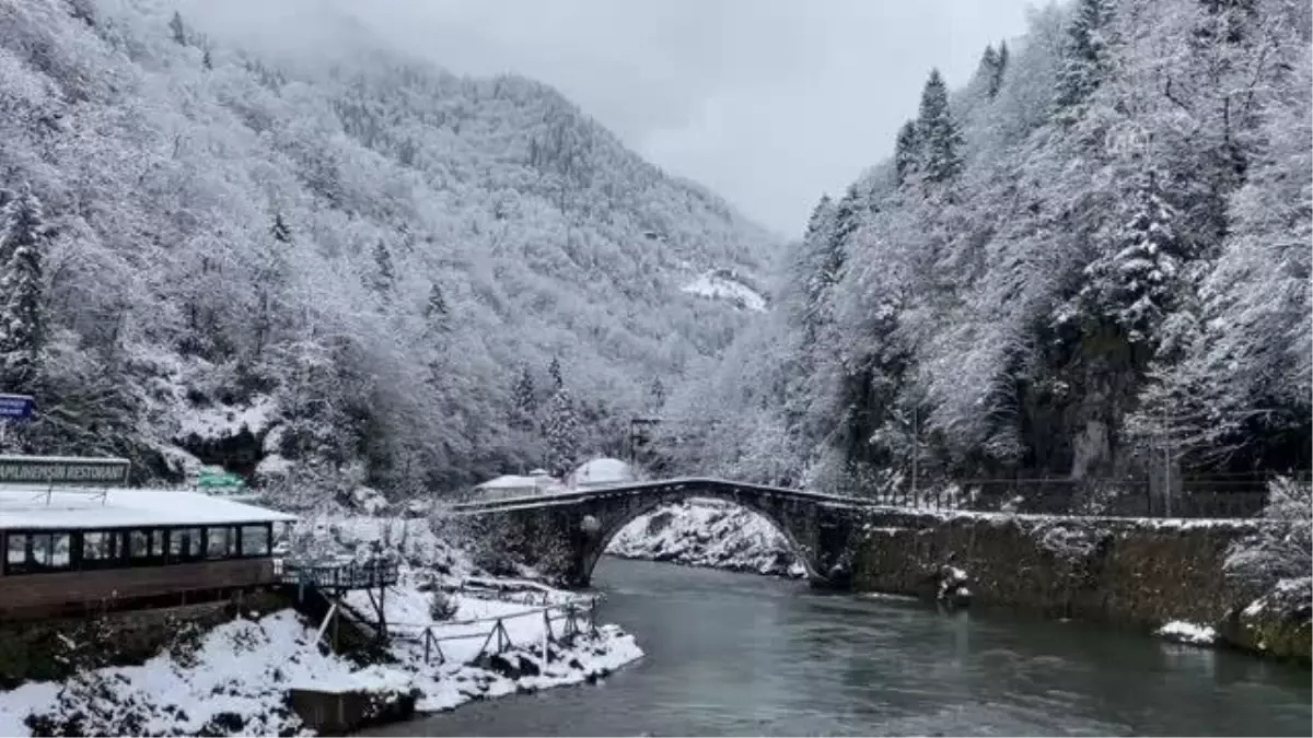 Kar yağışı etkili oluyor