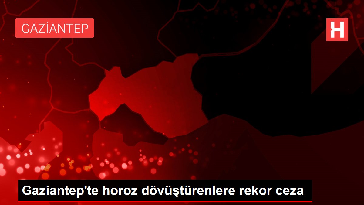 Gaziantep'te horoz dövüştürenlere rekor ceza