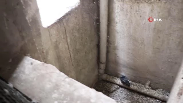 Son Dakika | Rize'de itfaiye ekiplerinden güvercin kurtarma operasyonu