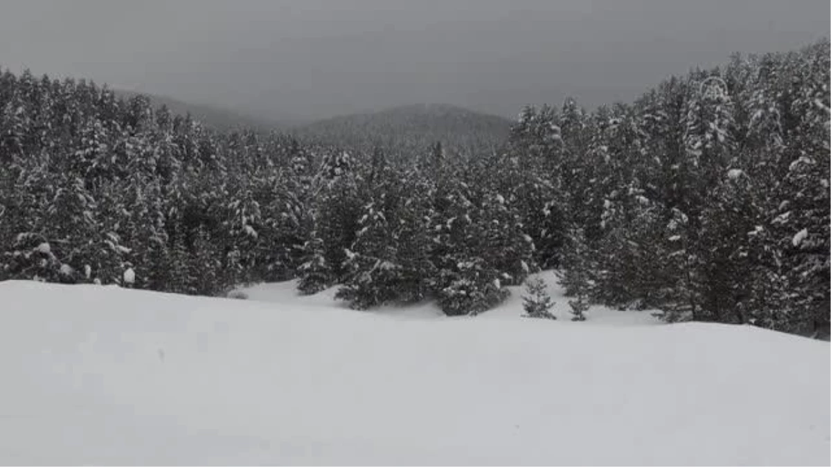 Sarıkamış\'ta kar yağışı ve soğuk hava etkili oluyor