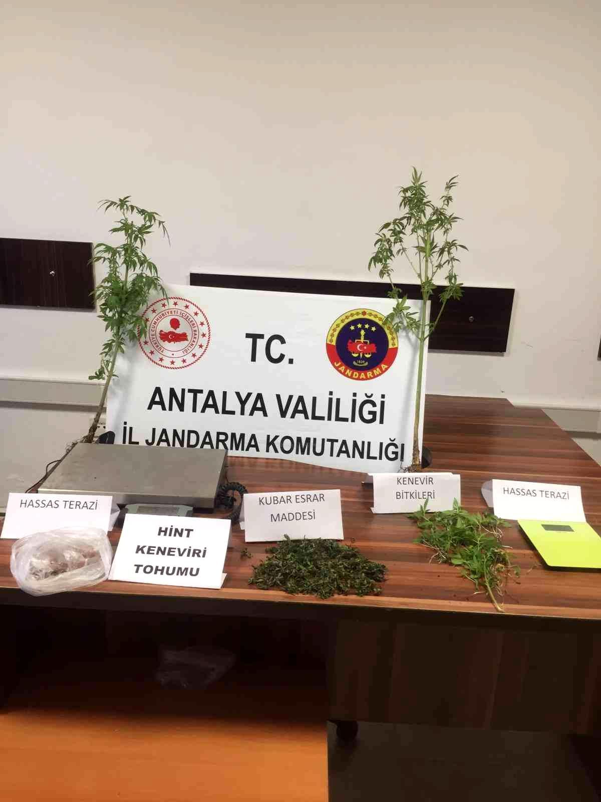 Antalya\'da uyuşturucu yetiştirilen evde 109 kök kenevir bitkisi ele geçirildi