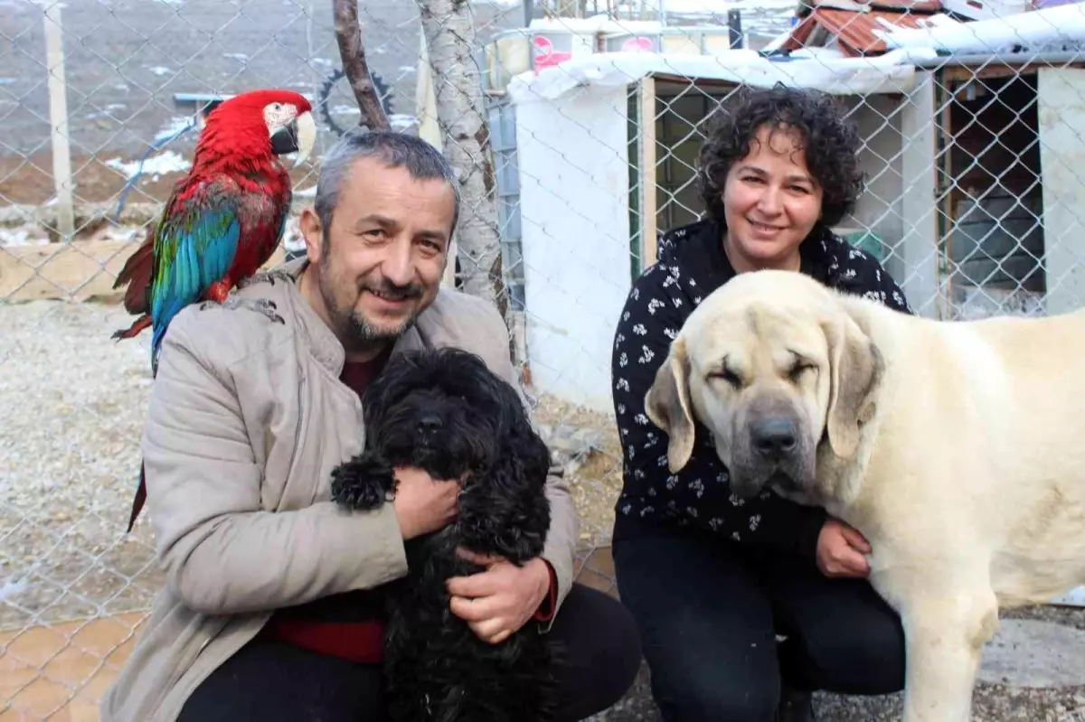 Bu aile çok renkli... 'Onlarca farklı türden oluşan 30'dan fazla hayvana ev sahipliği yapıyorlar