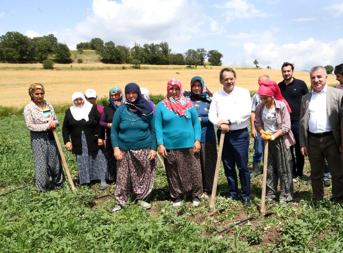 Çiftçilere 129 bin fidan 172 bin tohum desteği yapıldı