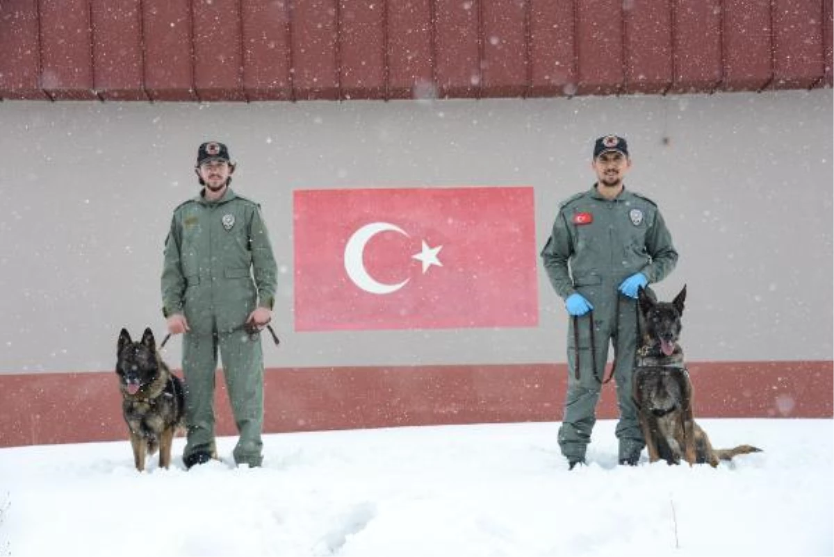 ÖZEL EĞİTİMLİ KÖPEKLER OBERT 33, CALİSTO 14 İLDEKİ VAKALARDAN SORUMLU