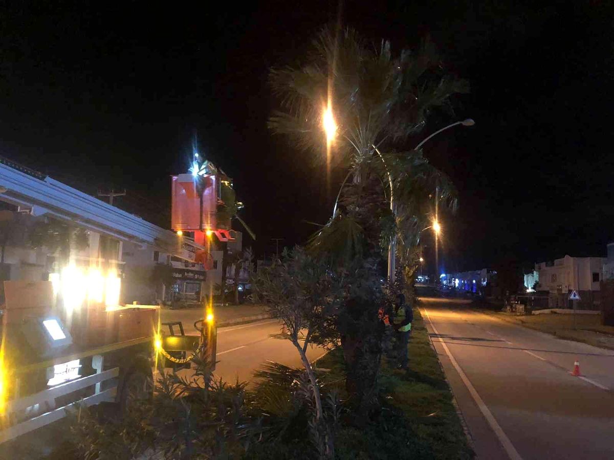 Palmiyeler için gece mesaisi