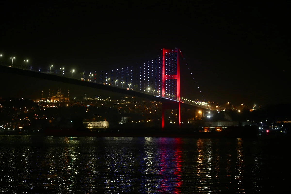 Rusya\'dan yola çıkan ayçiçeği yağı yüklü gemi İstanbul Boğazı\'ndan geçti