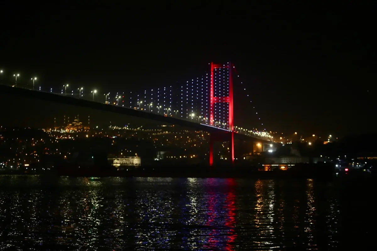 Rusya\'dan yola çıkan ayçiçeği yağı yüklü gemi İstanbul Boğazı\'ndan geçti