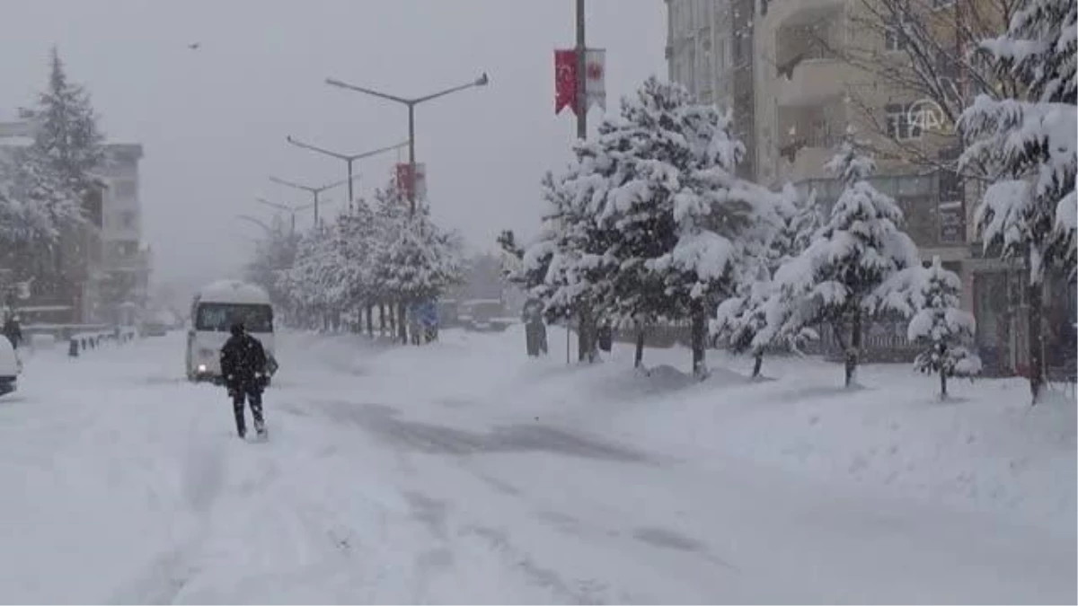 Ahlat\'ta kar yağışı etkili oldu