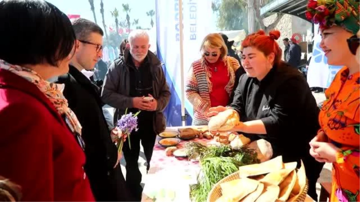 Bodrum acı ot festivaline binlerce kişi akın etti