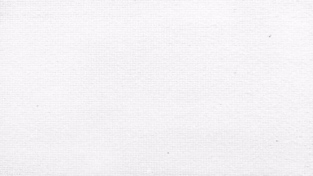 Dünyanın İlk Sanal Vatandaşı Maltalı