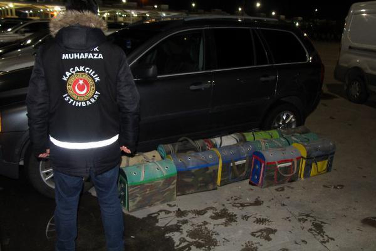 Kapıkule\'de terk edilen 34 horoz ve tavuk yavrusu kurtarıldı