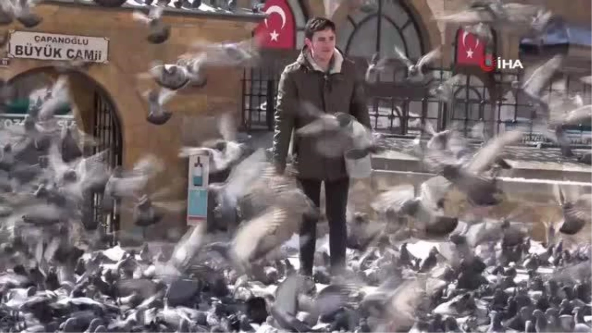 Yozgat esnafının ilk müşterileri güvercinler oluyor