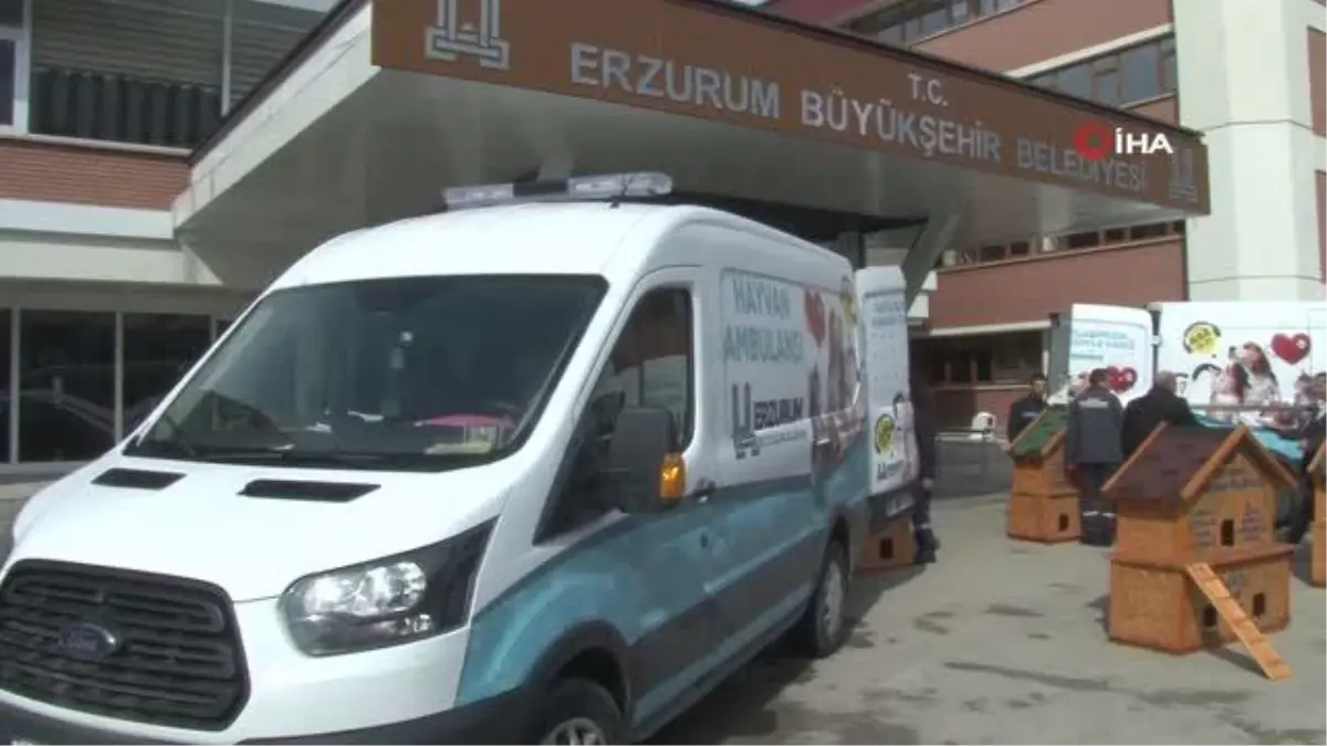 Erzurum'da hayvan ambulansı hizmete girdi