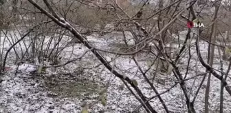 Mart karı fındık üreticisini endişelendirdi