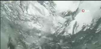 Son dakika gündem: NATO'dan, Norveç'te 30 Bin askerle 'Soğuk Müdahale 2022' tatbikatı