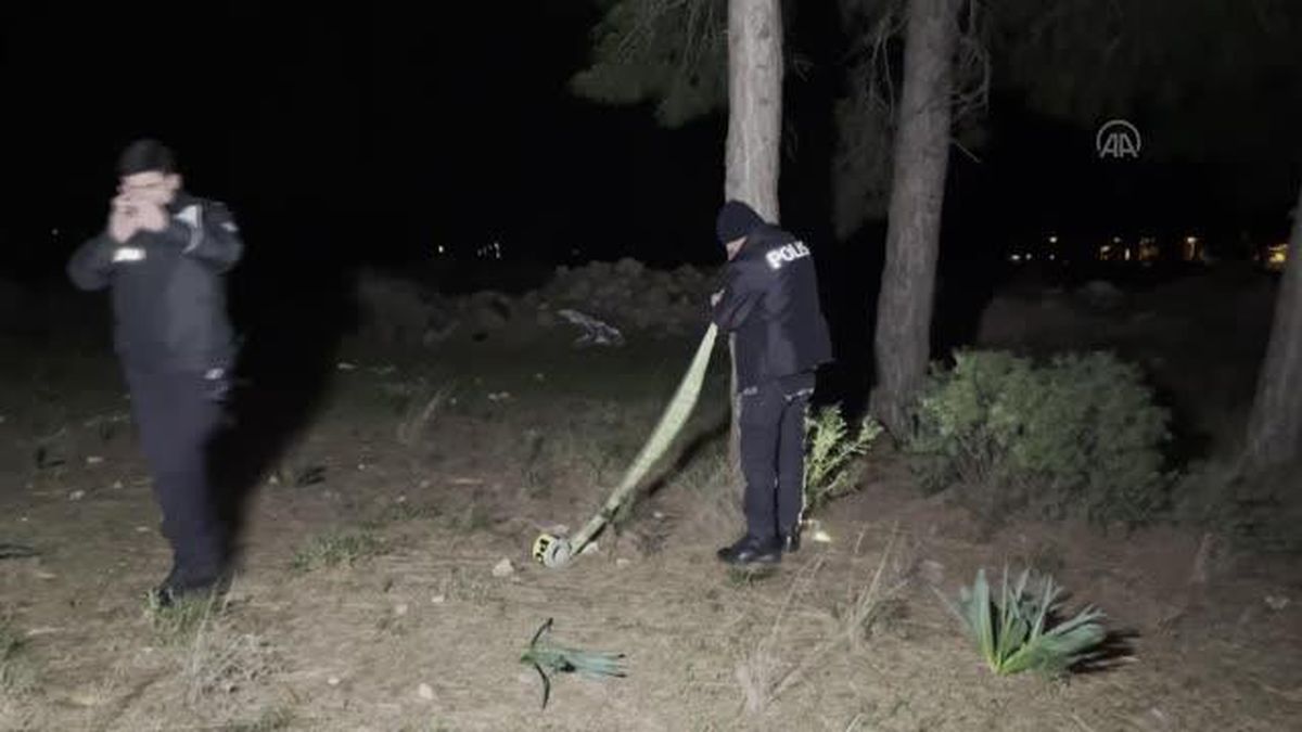 Ormanlık alanda bulunan mezardan köpek ölüsü çıktı