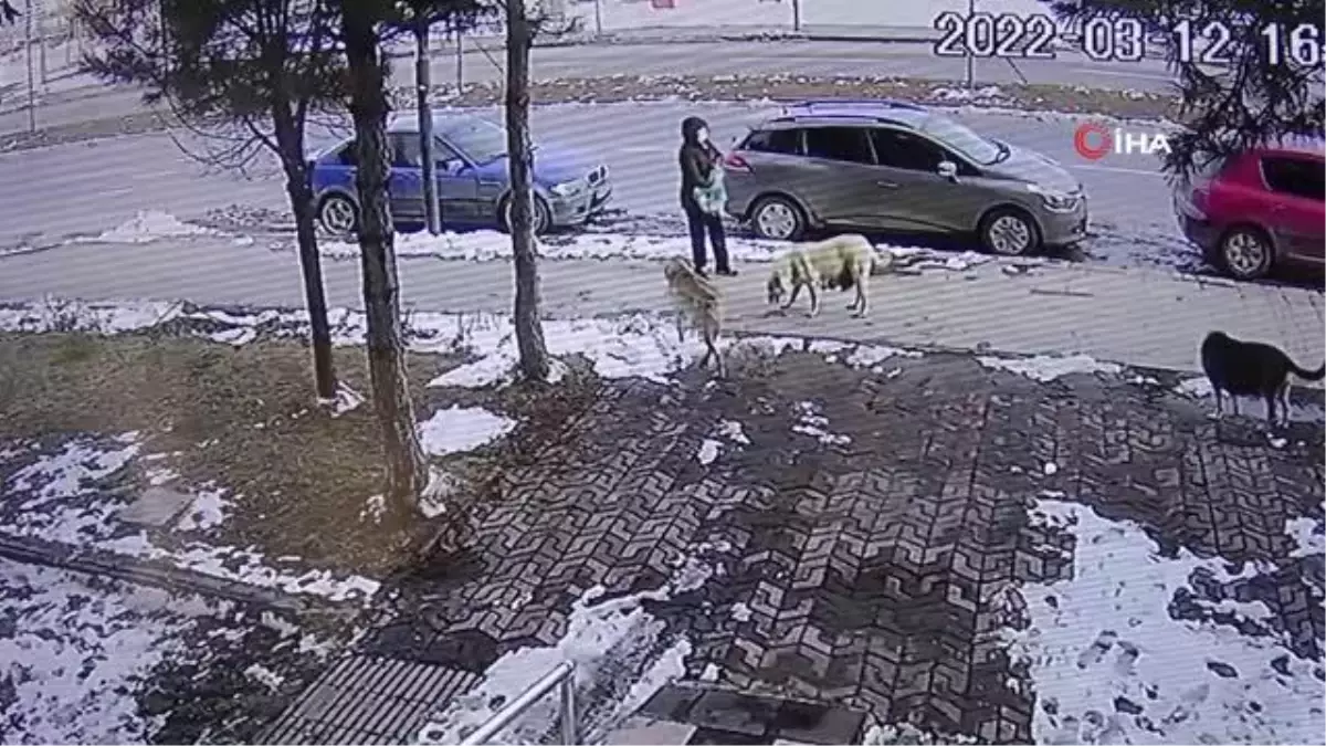 Saldırgan köpekten kaçan çocuğa otomobil çarptı... O anlar kamerada