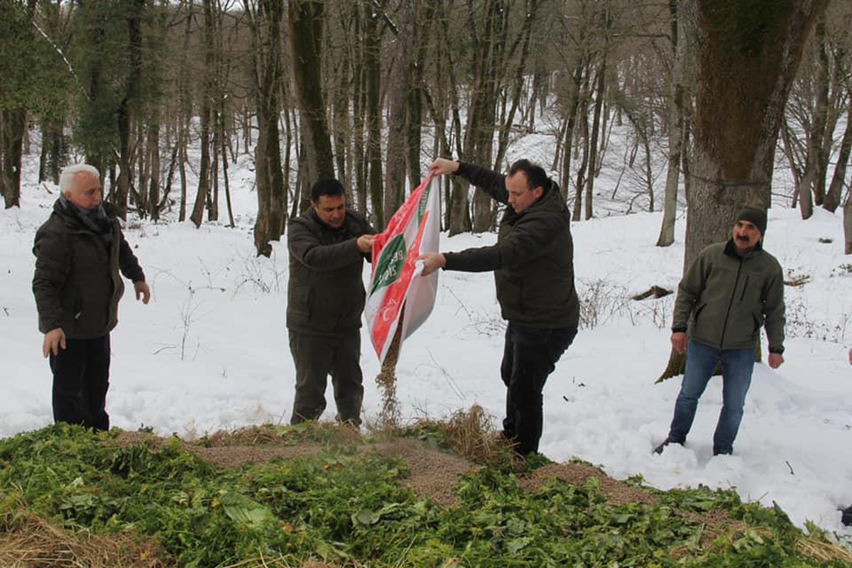 Trakya\'da yaban hayvanları için doğaya 22 ton yem bırakıldı