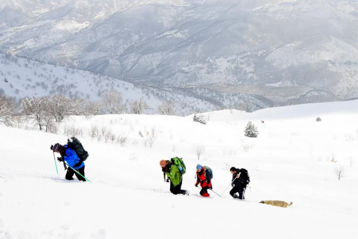Tunceli\'de bir grup dağcı vefat eden öğretim görevlisi için Zel Dağı\'na tırmandı