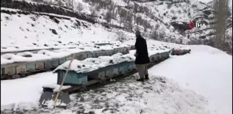 Yalancı bahar bal arılarını vurdu